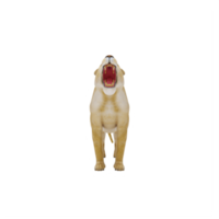 3d Lioness isolated png