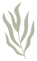 pastel groen tropisch palm blad png