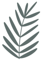 pastel tropical palm leaves png