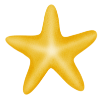 ícone de estrela do mar em aquarela png