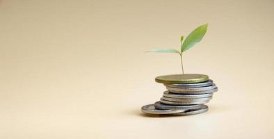 The coin has a green tree.  cream backdrop  copy space concept finance banking grow money save money photo