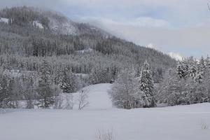 hermoso día en las montañas noruegas con bosques cubiertos de nieve cerca de hemsedal, impresión para diseño de portada, papel pintado, lienzo, folleto foto