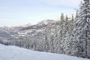 hermoso paisaje invernal noruego desde la pista de esquí en el valle de hemsedal buskerud noruega, postal de temporada, papel tapiz, impresión para lienzo, diseño de portada foto