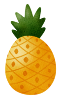 icono de piña acuarela png