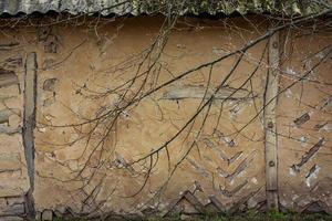 Close up old damaged exterior wall of house and overgrown branches concept photo