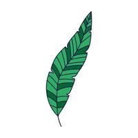 icono de hoja tropical vector