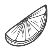 Slice of Lemon or orange outline illustration vector