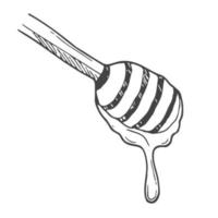 Hand drawn honey stick with drop. Sketches isolated. Black and white graphic design. Vector illustration.