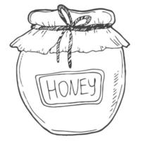 Honey jar sketch. Engraved organic food hand drawn sketch illustration. Black isolated on white background. vector