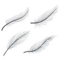 Hand drawn bird feathers line art doodle drawing vector