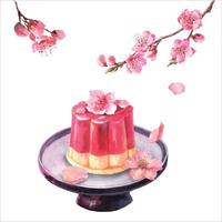 Watercolor japanese confectionery, composition edible flower Sakura in jelly on ceramic plate and with sakura branch, wagashi isolate on white background. vector