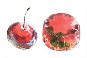 Watercolor japanese desert cherry jelly, isolate on white background. For menu desing. vector