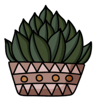 lindo cactus en el icono de la olla. png