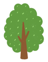 icono de árbol verde. png