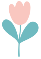 Tulip flat icon png