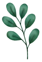 acuarela de hojas verdes tropicales png