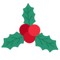 Weihnachtsstechpalme-Symbol. png