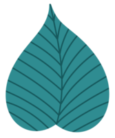 Pastel Green Tropical leaves icon png