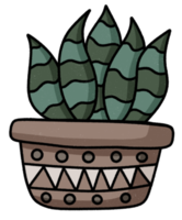 lindo cactus en el icono de la olla. png