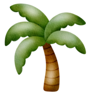 palmeiras em aquarela com ícone de coco png