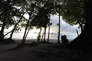 mahe, seychelles - 13 de agosto de 2019 - jóvenes criollos divirtiéndose en la playa foto