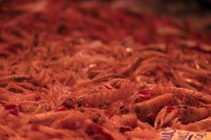 seafood for sale at the market photo