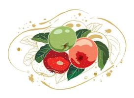 composition of red and green apples with leaves on the background of a golden contour. vector illustration