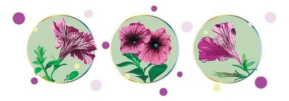 Set of cards with petunia flowers isolated in a green circle on a white background with colorful dots. Green leaves, opened buds, closed buds, lilac and pink flowers. vector