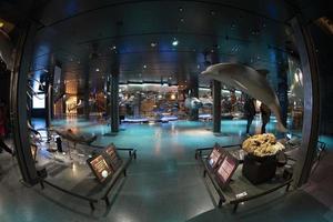 París, Francia - 18 de noviembre de 2021 - galería de evolución museo de historia natural foto