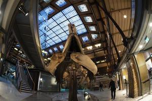 París, Francia - 18 de noviembre de 2021 - galería de evolución museo de historia natural foto