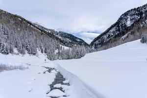 snow hiking forest panorama landscape mountains of Santa Caterina valfurva italian Alps in winter photo