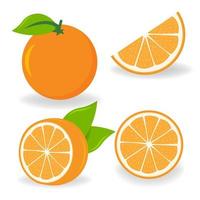 Orange symbol. Sliced orange slices in different ways. Isolated vector illustration.