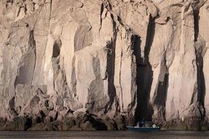 pelican flying over baja california sur cortez sea rocks photo