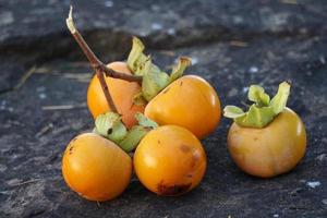 persimmon fruit on kaki tree photo