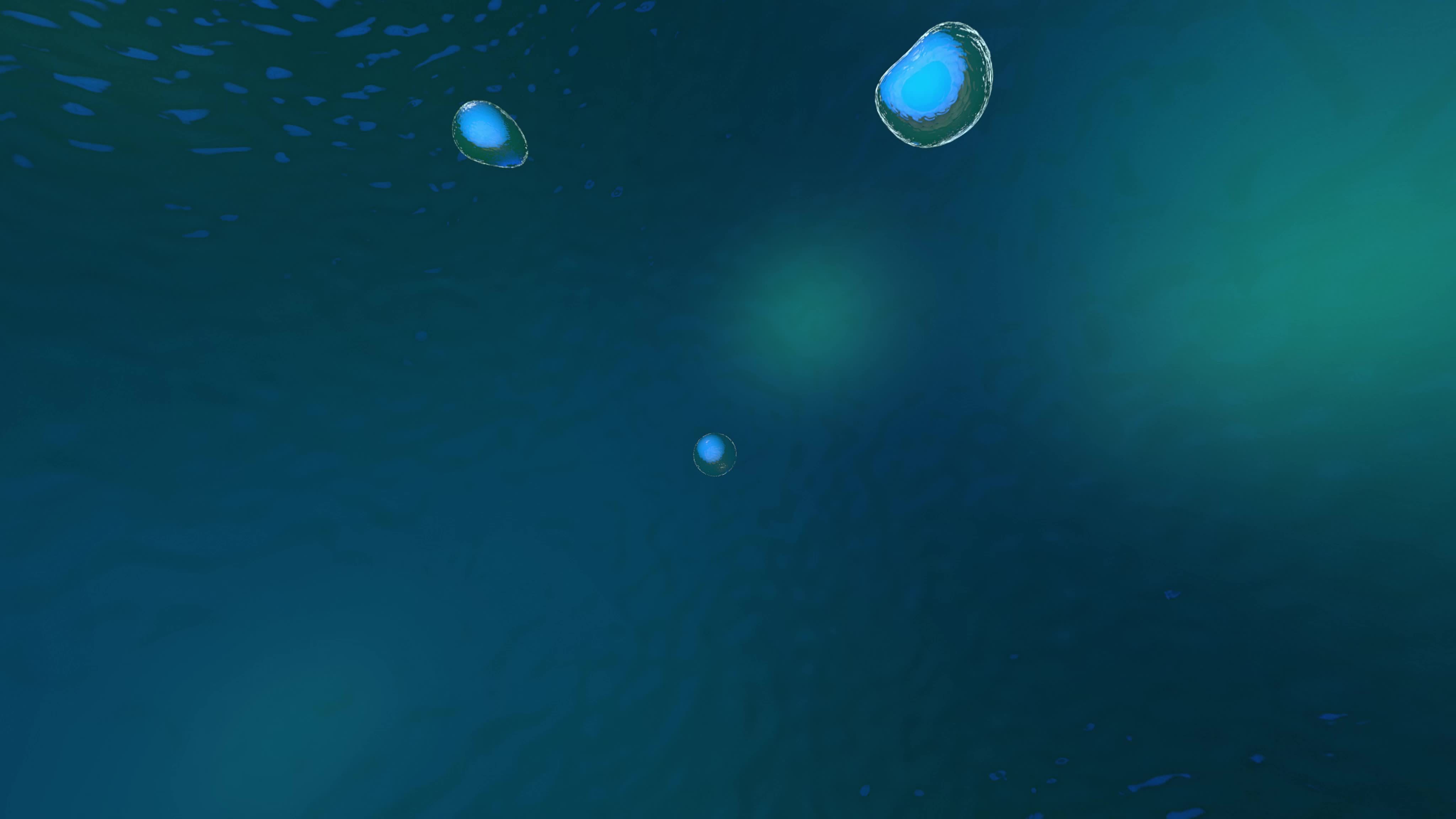 animation 360 The medical panoramic background, 3d rendering of Cell biology deals with the smallest unit of life. 18806679 Stock Video at Vecteezy animation 360 The medical panoramic background, 3d rendering of Cell biology deals with the smallest unit of life. 18806679 Stock Video at Vecteezy