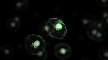 3d renderen van cel biologie aanbiedingen met de kleinste eenheid van leven. video