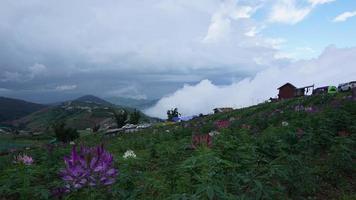 de wolken verhuisd over- de bergen, mist dat gevormd en verspreiding, phu thap berk, phetchabun, Thailand. video