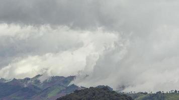 Timelapse av dimma och altostratus moln över de topp på phutubberk thailand, dimma över de toppar och skogar. natur efter regn video