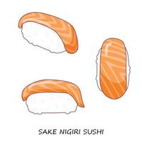 Salmon sushi nigiri on white background. Sake nigiri. Different view. Traditional Japanese food. Vector clipart.