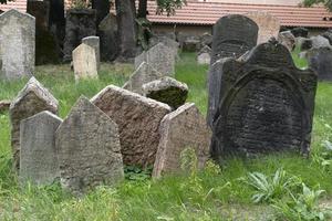 jewish old cemetery in prague photo