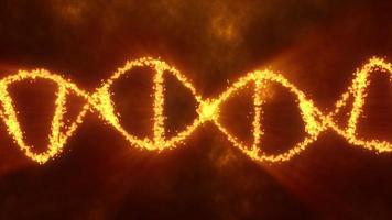 abstrakt gul guld lysande energi spiral dna vetenskaplig trogen hög tech bakgrund. video 4k, rörelse design