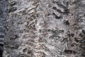 animal fur clothes detail photo