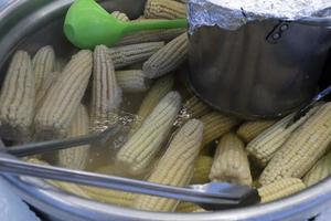 cooked cobs corn boiled on pot photo