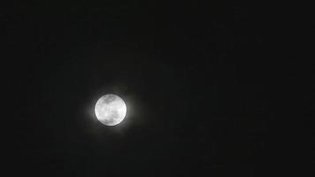 lua cheia de plantio de milho brilhante na nuvem da noite escura com passagem de nuvens video