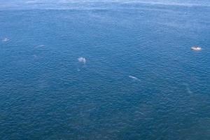 ballena gris en méxico baja california panorama de vista aérea de drones foto