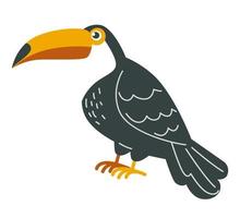 pájaro tucán, fauna tropical con vector de plumaje negro