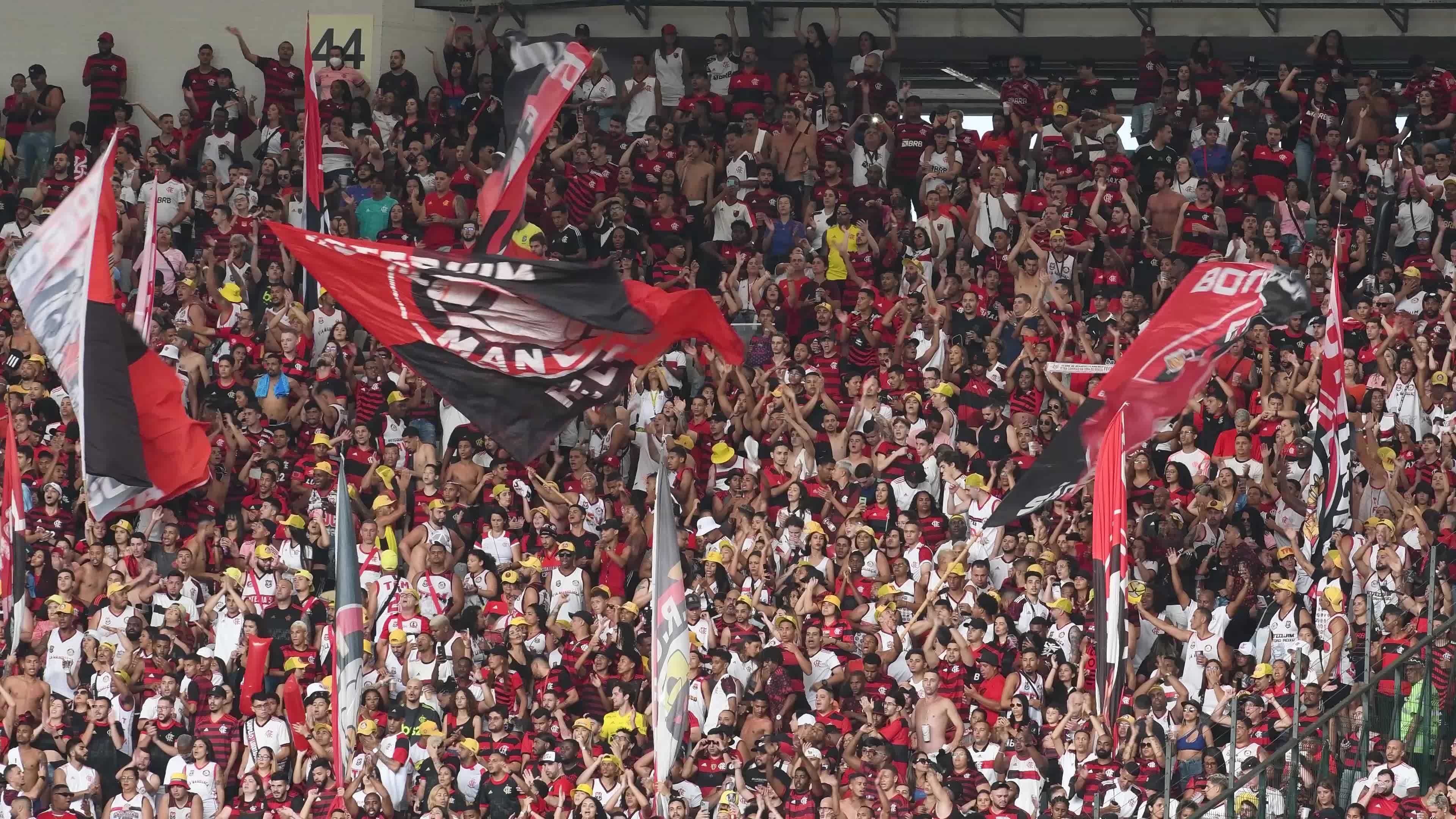Rio, Brazil, november 12, 2022, flamengo fans singing inside the