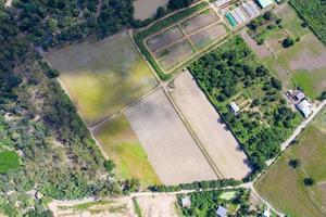 vista superior de asia de la vista de drones alrededor del cultivo de arroz en la provincia de uthaitani, tailandia. foto