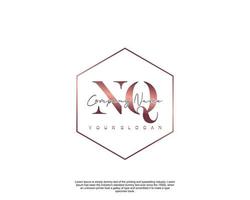 Initial letter NQ Feminine logo beauty monogram and elegant logo design, handwriting logo of initial signature, wedding, fashion, floral and botanical with creative template vector