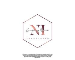 Initial letter NI Feminine logo beauty monogram and elegant logo design, handwriting logo of initial signature, wedding, fashion, floral and botanical with creative template vector